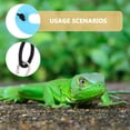thumbnail image 1 of WHAMVOX 5Ud Reptile Adjustable Leash Azul De Cuero Para Y Cómodo De Mascotas Pequeñas, 1 of 5