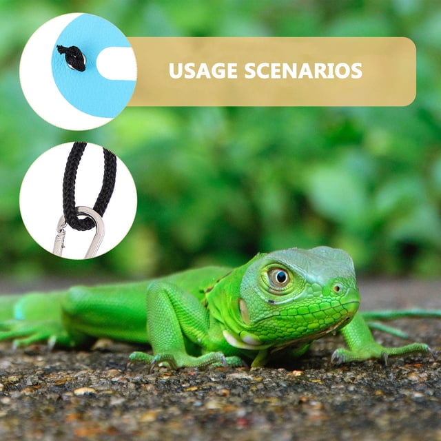 WHAMVOX 5Ud Reptile Adjustable Leash Azul De Cuero Para Y Cómodo De Mascotas Pequeñas