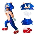 thumbnail image 1 of Disfraz Cosplay Tipo Sonic Boom Superheroe Erizo, 1 of 6