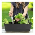 thumbnail image 6 of Herb Rectangle Planter,1Pc Self Watering Planter Pot for Deck,Window Boxes with Drainage Holes for Garden,Window,Office Decor,Black, 6 of 6