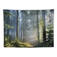 thumbnail image 5 of ONETECH Misty Forest Tapestry Wall Hanging Nature Landscape Tapestry Sunshine Through Tree Tapestries for Bedroom Living Room Dorm Decor, 5 of 6