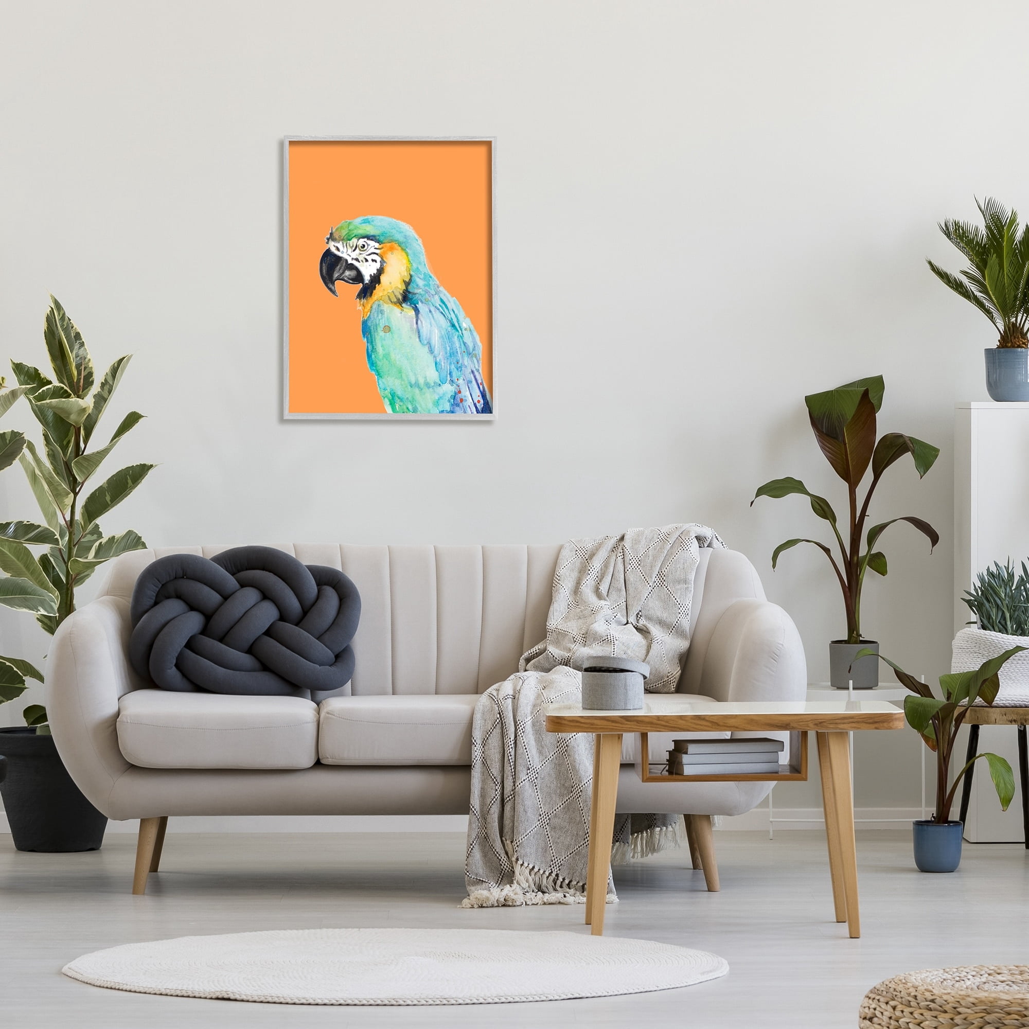 Stupell Industries Tropical Macaw Parrot Portrait Bold Rainforest Bird Graphic Art Gray Framed Art Print Wall Art, Design by Patricia Pinto