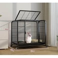 thumbnail image 2 of Cozy Outdoor Pet Rabbit Cage Discover the Ideal Home Rabbit Villa & Plush Rabbit Nest for Joyful Rabbits, 2 of 2