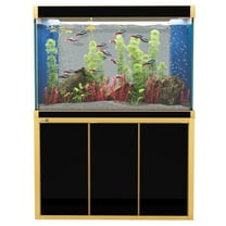 Aqua Dream 175 Gallon All-in-One Aquarium Kit | Black & Gold Trim | Ultra-Clear Tempered Glass Tank, Stand, 1200 GPH Sump Filtration & LED