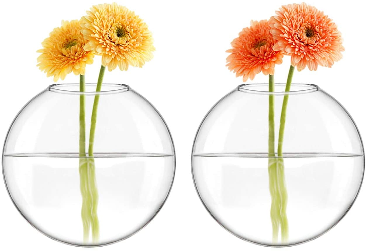 Mkono Wall Hanging Planter Propagation Station Glass Flower Vase for Hydroponics Plants,Oblate Set of 4