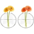 thumbnail image 5 of Mkono Wall Hanging Planter Propagation Station Glass Flower Vase for Hydroponics Plants,Oblate Set of 4, 5 of 7