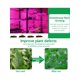 thumbnail image 4 of 1pc Plant Growth Lamp Strip, 4 of 5