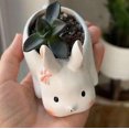 thumbnail image 4 of Lishi Mini Rabbit Desk Ceramic Planter with Saucer - Minimalist Office Window Décor, 4 of 5