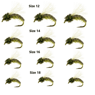  Feeder Creek Bead Head Midge Nymph, 12 Fly Fishing Wet Flies,  3 Size Assortment 16,18,20 (4 of Each Size), Great for Trout, Bass & Other  Freshwater Fish : Sports & Outdoors