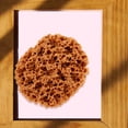 thumbnail image 2 of icolorfuled Artistic Paint Sponge For Acrylics 1 Set Sponge Printing Tool Painting Blending Applicator, 2 of 7