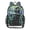 Black Cat and Irises, variant on PVC Transparent Backpacks Clear Backpack for Travel and Outings Black Cat and Goldfish Bowl
