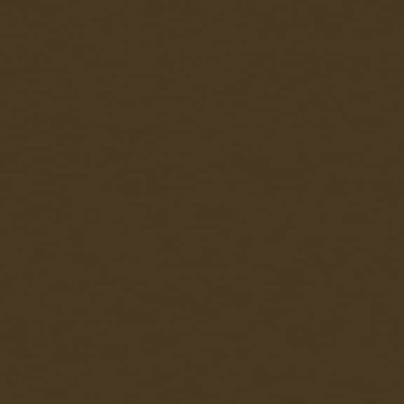 Bazzill Card Shoppe Heavyweight Cardstock 12"X12"-Peanut Fudge