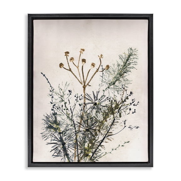 Stupell Industries Bohemian Pine Needles Impression Black Floating Frame Canvas Art, 17 x 21, by Pernille Folcarelli