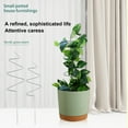 thumbnail image 5 of Travelwant 4Pcs/Set Indoor Trellis Small Trellis for Potted Plants, Stackable House Plant Trellis for Climbing Plants, 5 of 7