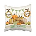 thumbnail image 1 of RYLABLUE Happy Thanksgiving Fall Collection Pumpkins Decorative Pillow Cover With Hidden Zipper Decor Cushion Two Sides 18x18 inches, 1 of 1