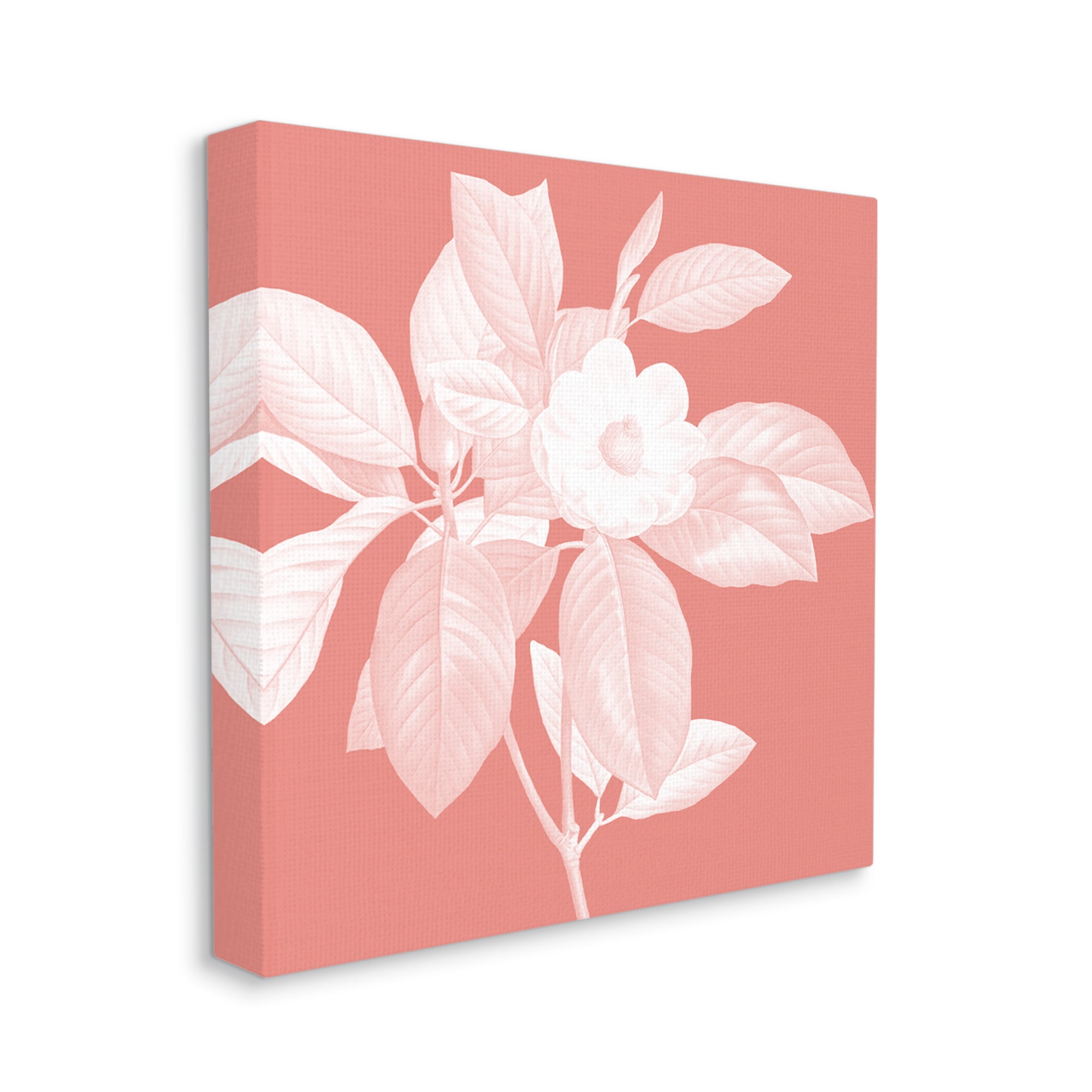 Stupell Industries Pink & White Floral Botanical & Floral Painting Gallery Wrapped Canvas Art Print Wall Art, 24 x 24