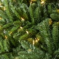 thumbnail image 3 of Treetopia 8ft Pre-lit Virginia Fir Artificial Christmas Tree with LED Candle Clear Lights, 3 of 6
