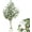 7ft, variant on Huisuilinss Artificial Olive Tree, 5FT/6FT/7FT Tall Faux Olive Trees,Fake Potted Silk Plant with Trunk and Realistic Leaves & Fruits for Modern Office Home Decor Indoor