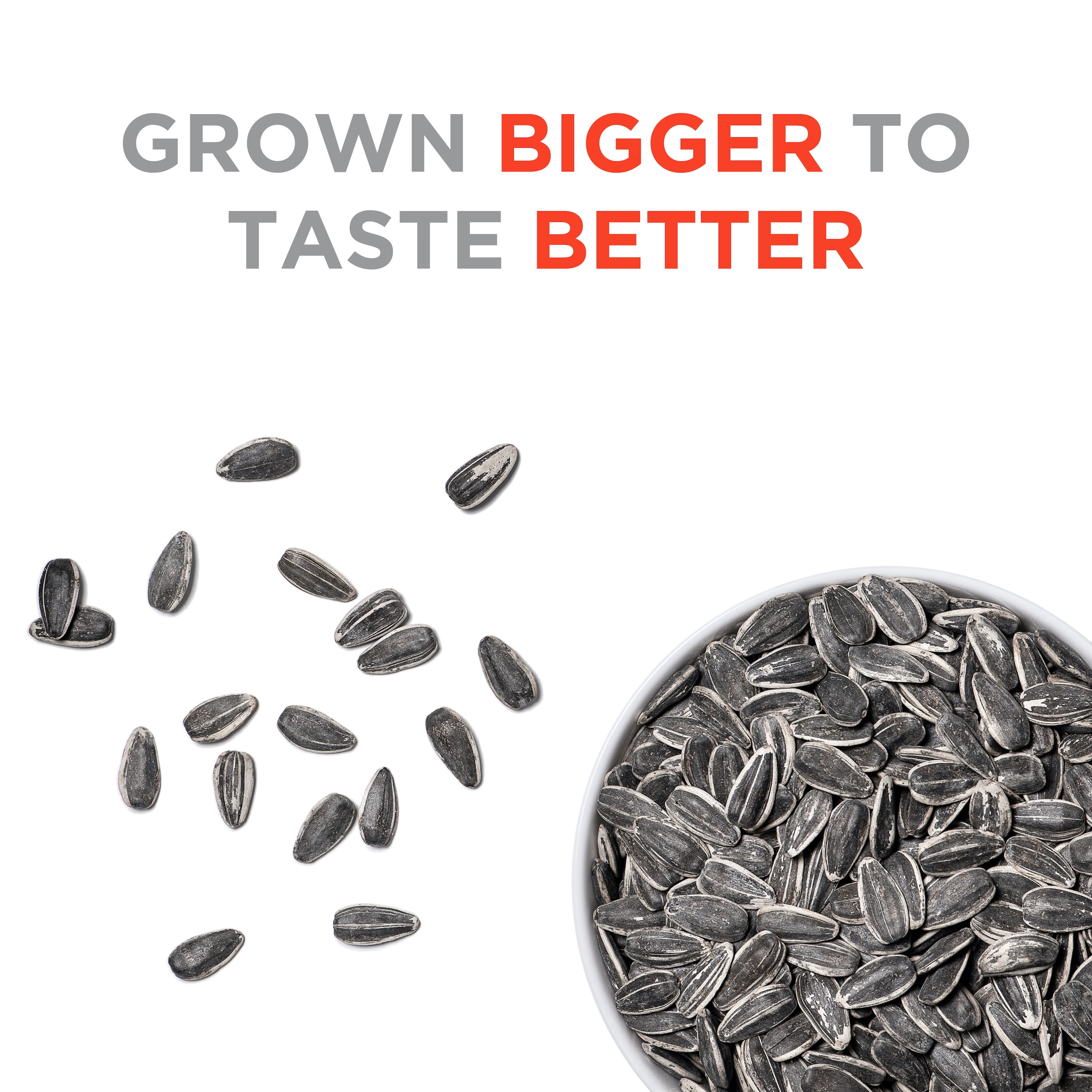 JUMBO SUNFLOWER SEEDS, Mega No Salt, 5.5-Ounce (Pack of 12)