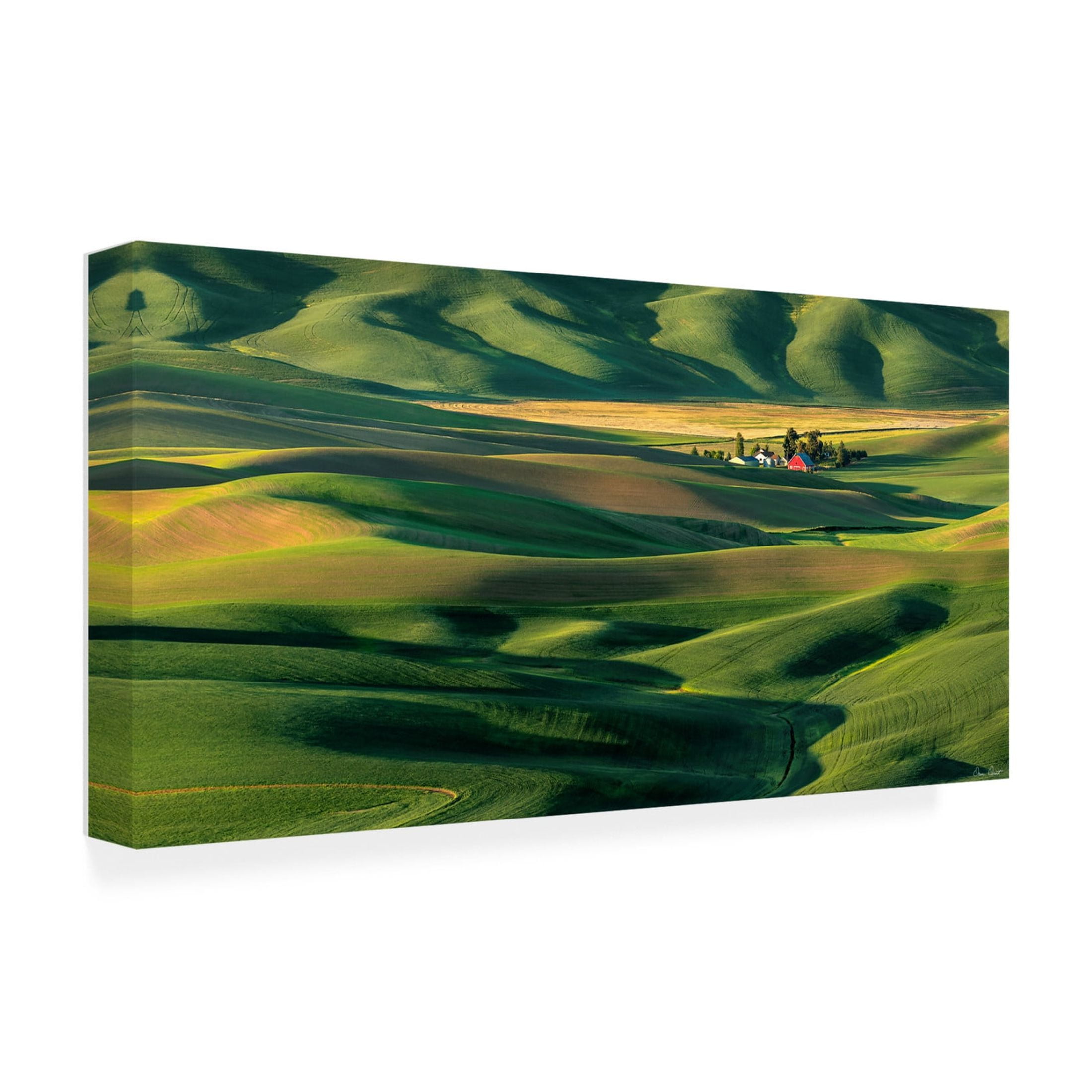 Trademark Fine Art David Drost  The Palouse Countryside  II Canvas Wall Art