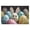 300, variant on Puzzles for Adults 1000 Pieces - Easter Eggs Perfect Interlocking Clear Printing - Adults Educational Puzzle Gift Ideal