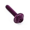 thumbnail image 6 of Aluminum Flanged Hex Bodywork Bolt M6x(1.00mm)x30mm Race Spec Etched, 6 of 6