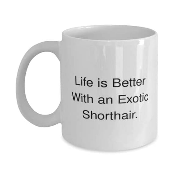 Unique Exotic Shorthair Cat, Life is Better With an Exotic Shorthair, Sarcastic 11oz Mug For Cat Lovers From Friends