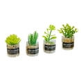 thumbnail image 3 of Plantas de Simulación a Escala 1:12 CUTICAT para Casa de Muñecas Estilo B, 3 of 8