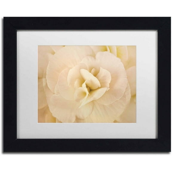Trademark Fine Art 'Amber Begonia Flower' Canvas Art by Cora Niele, White Matte, Black Frame