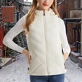 thumbnail image 2 of Women's Heated Vest Winter Cold Resistant Usb Electric 11 Zone Smart Warming Layer Heated Vest with Hood Sleeveless Jacket Regular Fit Womens Vests Fashion Casual, 2 of 9
