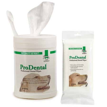 Top Performance Dental Wipe 160 Ct Canister
