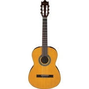 Ibanez GA2 Acoustic Guitar