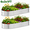 2 Packs, variant on Raised Garden Bed Kit,2 Pack 6×3×1ft Raised Garden Boxes Outdoor for Vegetables and Flowers,Silver