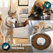OurPets DuraPet Slow Feed Premium Stainless Steel Dog Bowl, Medium (4.5 Cups), Silver