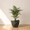 Black, variant on Ecobo 12.6 inches Eco-Friendly Round Pot Planter Onda Indoor/Outdoor use, Durable, Versatile & Lightweight, Designed by Brazilian Artisans, Contemporary All-Weather Design –Red