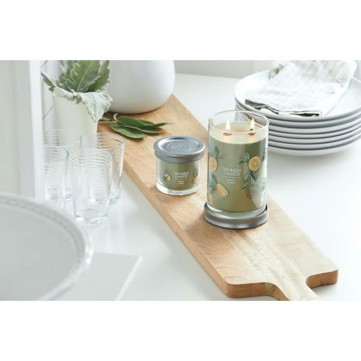 Yankee Candle Small Tumbler Scented Single Wick Jar Candle, Sage & Citrus, 4.3 oz (Pack of 2)
