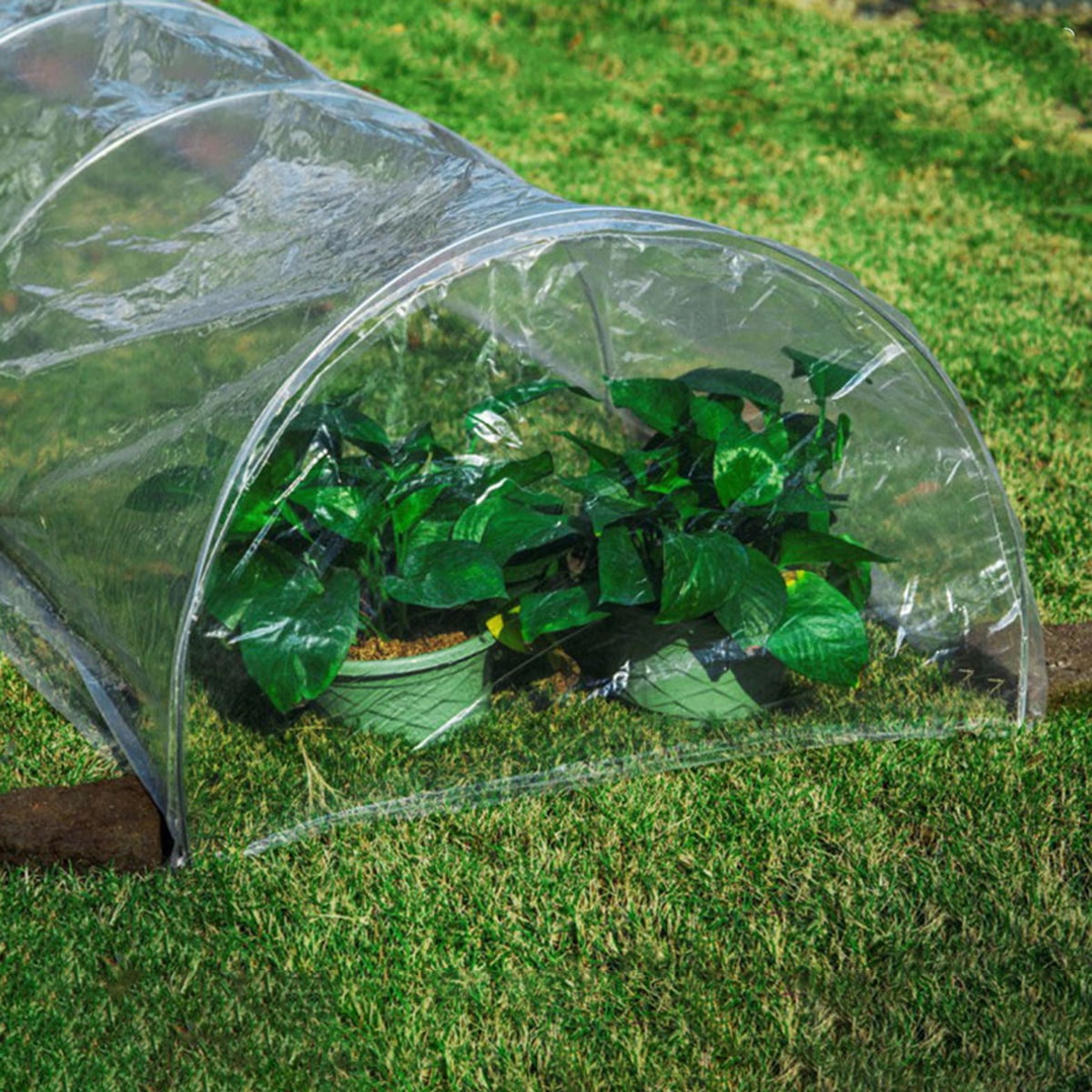 Agfabric 2.4Mil Plastic Covering Clear Polyethylene Greenhouse Film UV Resistant for Grow Tunnel and Garden Hoop Plant Cover&Frost Blanket for Season Extension,Keep Warm and Frost Protection 6.5x10ft 