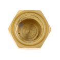 thumbnail image 5 of M7 Tuerca Crank Baitcasting Carrete Fishing Reel Handle Tornillo Tuerca Cap Bearing Cover, Antioxidante, Izquierda / Derecha - Mano izquierda Oro Sunnimix Tuerca de tornillo del carrete de Baitcasting, 5 of 5
