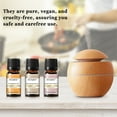 thumbnail image 4 of EUQEE Fragrance Oil Set, Scented Oil 6x10ml for Candle Making Soap Slime, Essential Oils for Diffuser Home, Sandalwood, Harvest Spice, Gingerbread, Pumpkin Pie, Bay Rum, 4 of 14