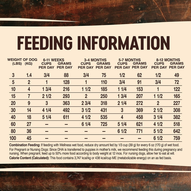 Wellness core puppy feeding clearance guide