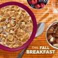 thumbnail image 4 of Kellogg's Special K Pumpkin Spice Breakfast Cereal, Fiber Cereal, Family Size, 16.7 oz, 4 of 15
