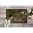 thumbnail image 2 of Carolines Treasures BDBA0136JMAT Rabbits & the Rabbit Hole Indoor or Outdoor Mat, 24 x 36, 2 of 4