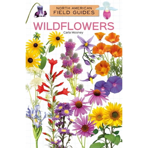 North American Field Guides Set 4 Wildflowers, (Hardcover)