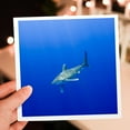 thumbnail image 7 of 3drose, Hawaii, Big Island, Oceanic White Tip Shark - Us12 Pso0037 - Paul Souders, 12 Greeting Cards with Envelopes, 7 of 7