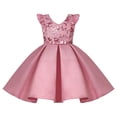 thumbnail image 4 of Kids Flower Girl Dresses for Wedding Pink Sleeveless Dress Girls Cute Clothes for Girls 9-10 Years, 4 of 4