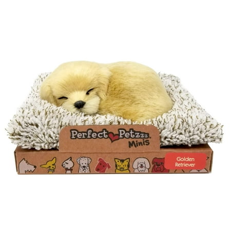 - Perfect Petzzz Mini Baby Golden Retriever Puppy Dog