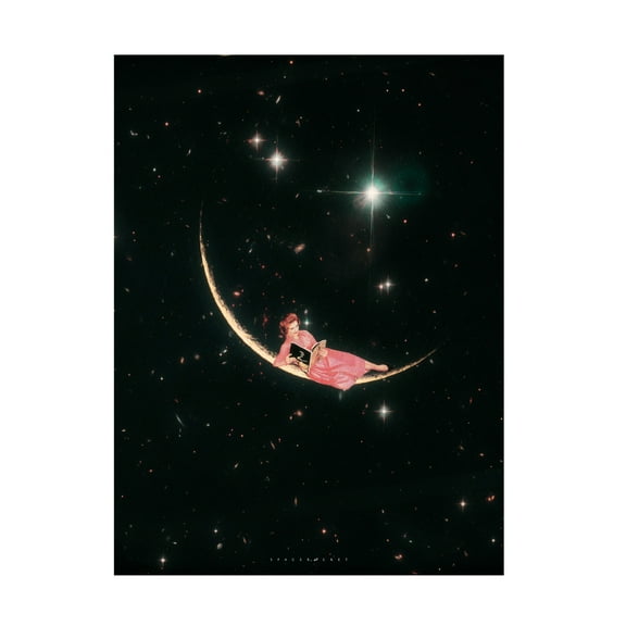 Trademark Fine Art spacerocket art 501 Canvas Wall Art