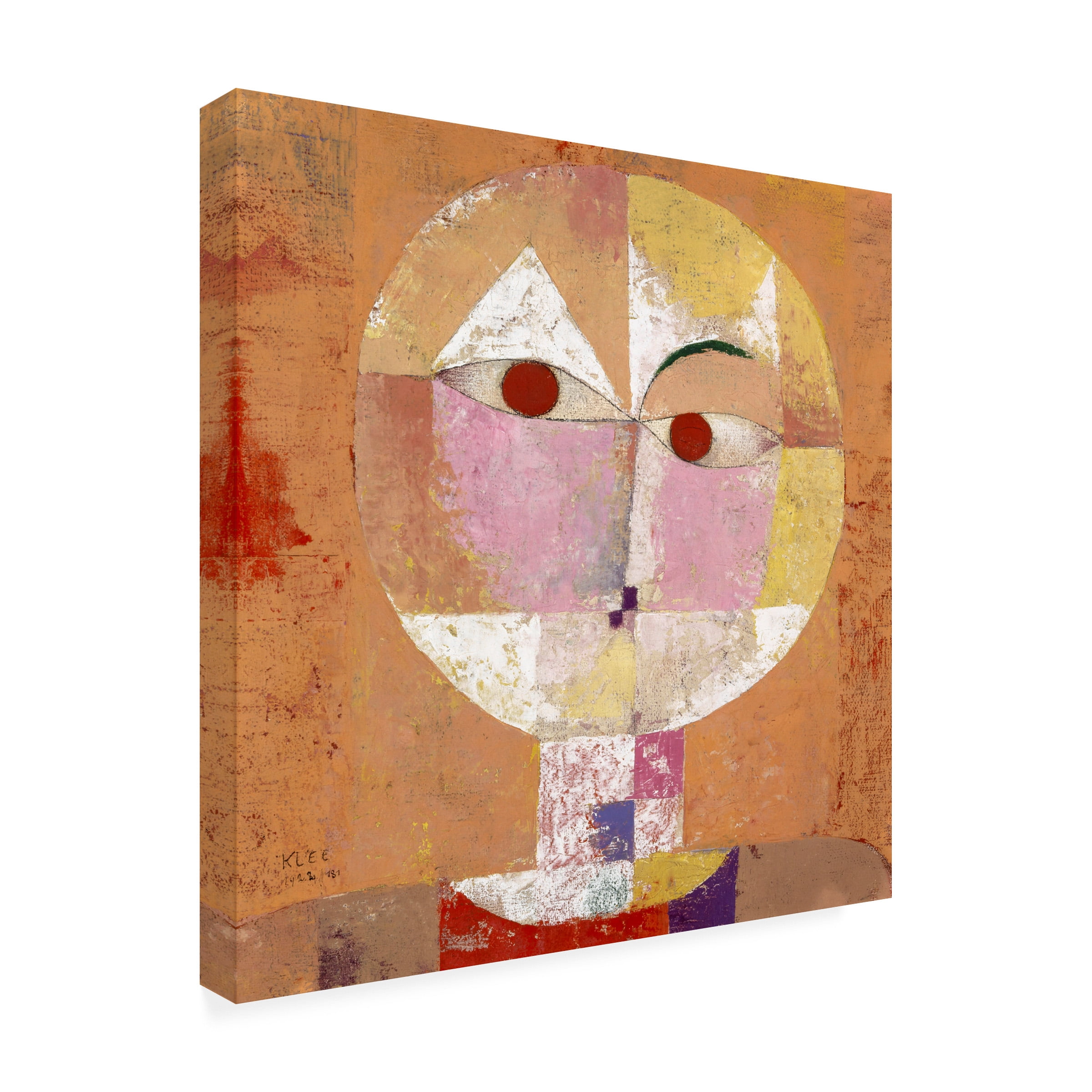 Pictufy 'Senecio Baldgreis 1922' Canvas Art
