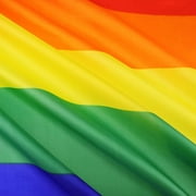 TOPFLAGS 3x5 Foot Rainbow Pride Flag - Vivid Color and Fade proof - Gay LGBT Pride Day Month Parade LGBTQ Community Banner Flags with Brass Grommets