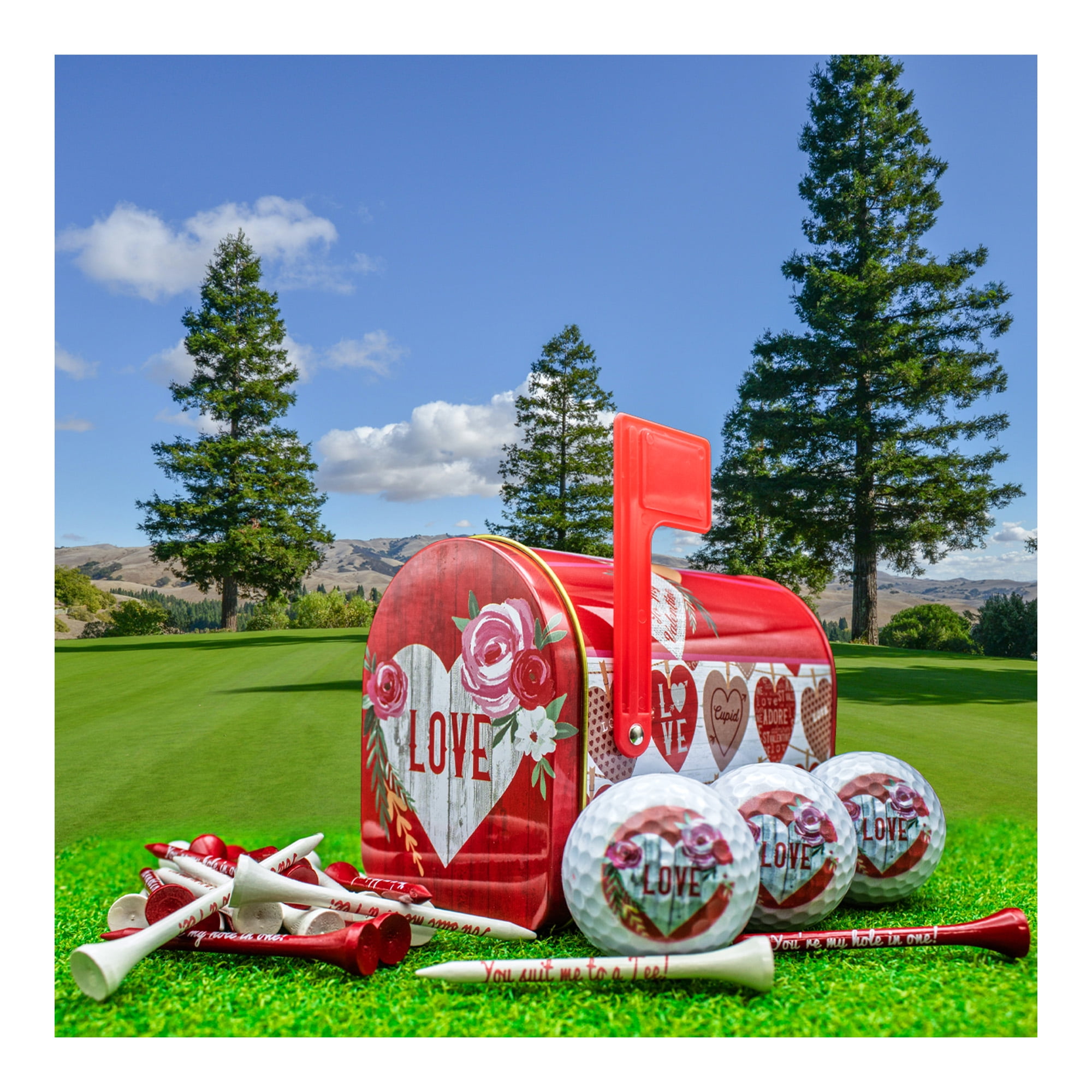 Valentines Day Love and Roses 3 Ball 20 Tee Tin Set by GBM GOLF